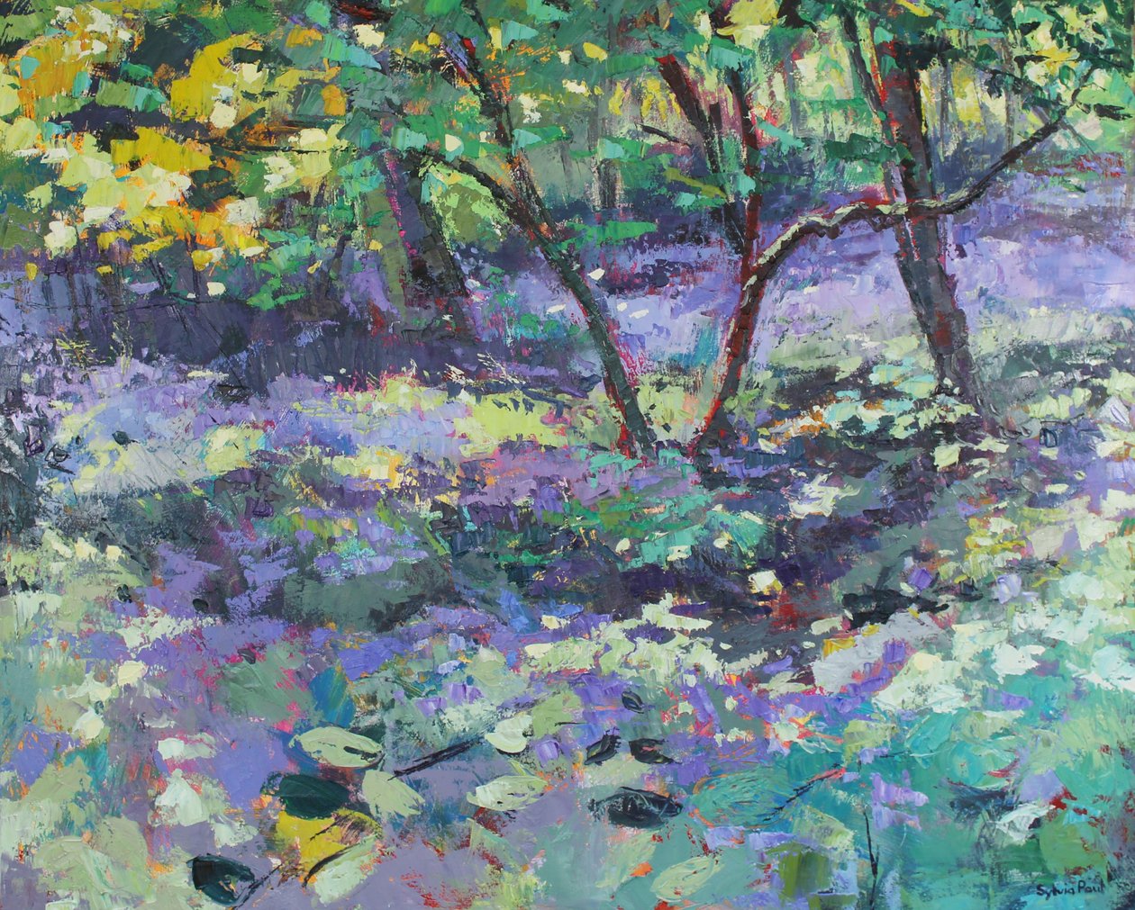 Bluebell Glade door Sylvia Paul