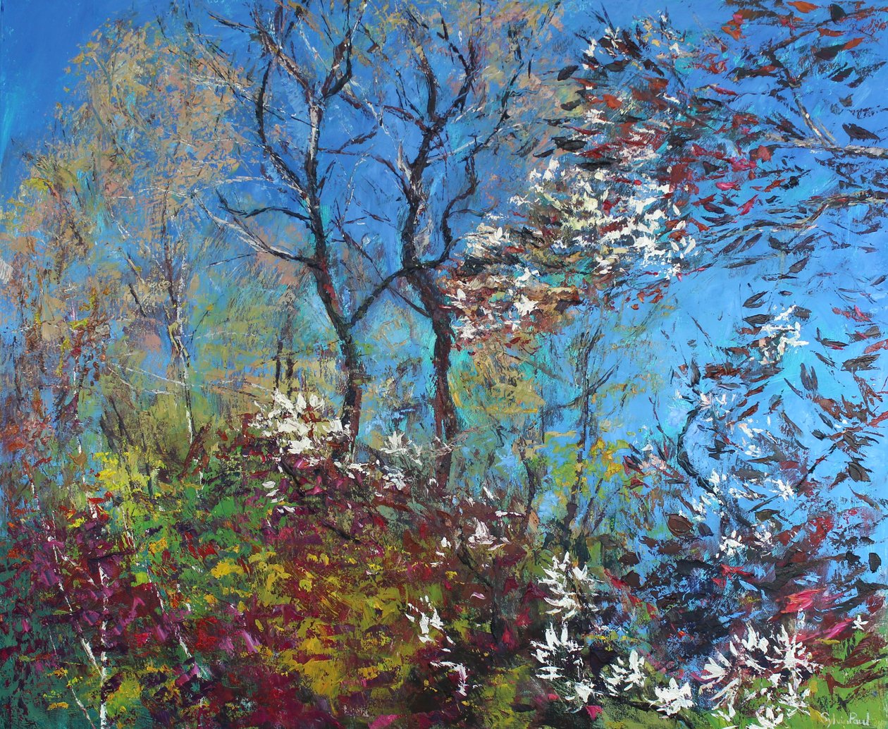 Bloesem en Blauwe Lucht door Sylvia Paul