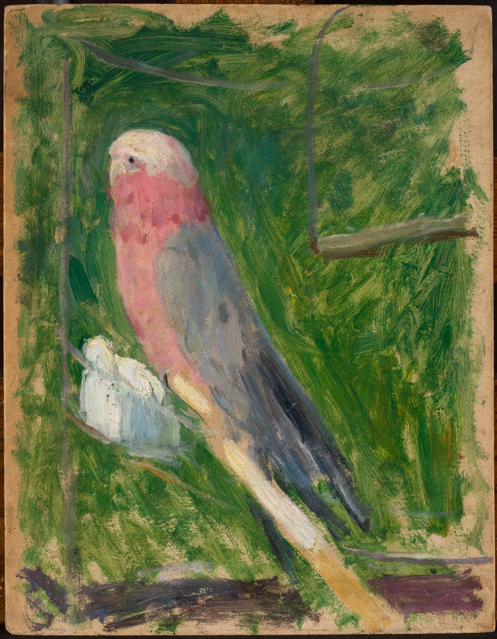 Papegaai door Tadeusz Makowski