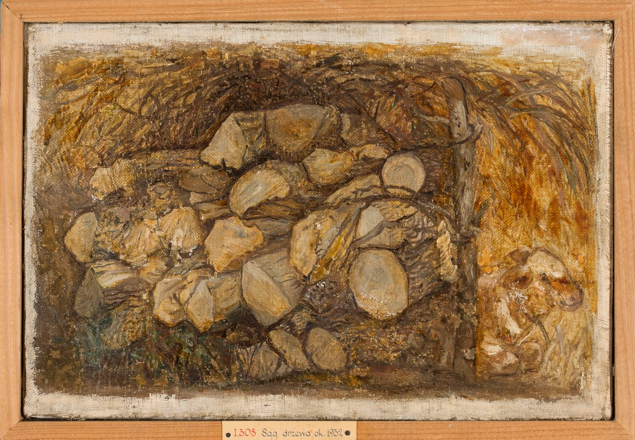 Houtstapel door Tadeusz Makowski