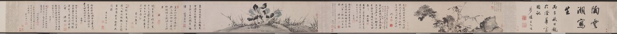 Chrysanten en Kool door Tao Cheng
