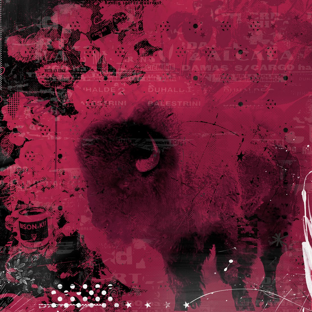 Bizon door Teis Albers