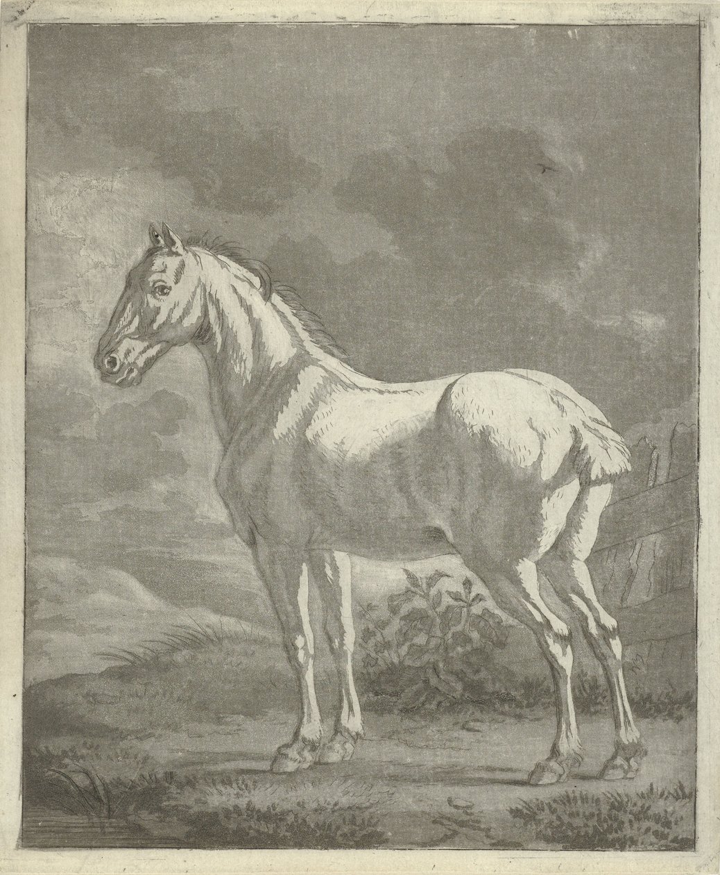 Schimmel in een wei door Tethart Philip Christian Haag