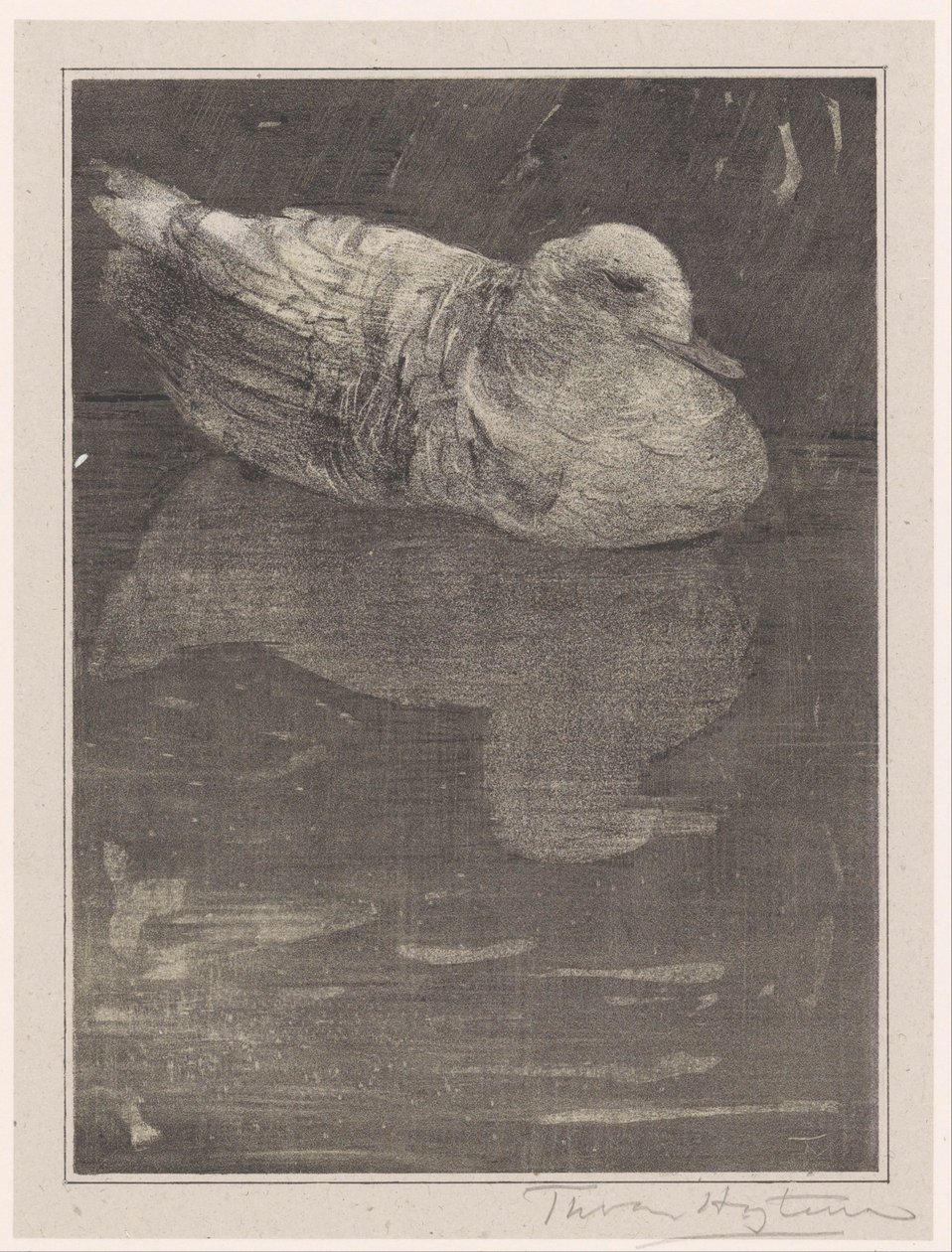 Drijvende eend door Theo van Hoytema (signed by artist)