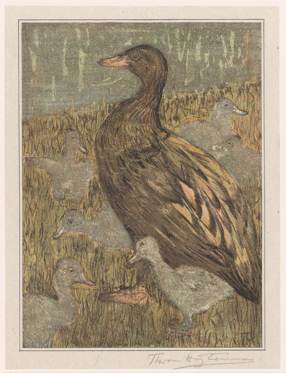 Eend met kuikens bij waterkant door Theo van Hoytema (signed by artist)