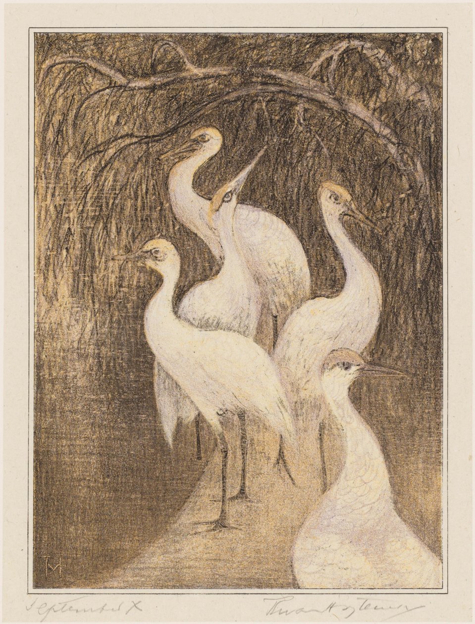 Zes kraanvogels aan de waterkant door Theo van Hoytema (signed by artist)