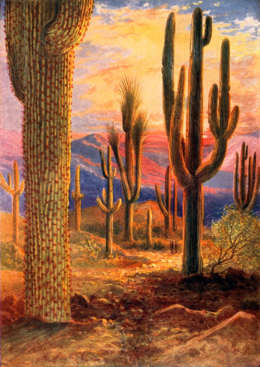  door Theobald Carreras