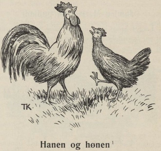 De haan en de hen door Theodor Kittelsen