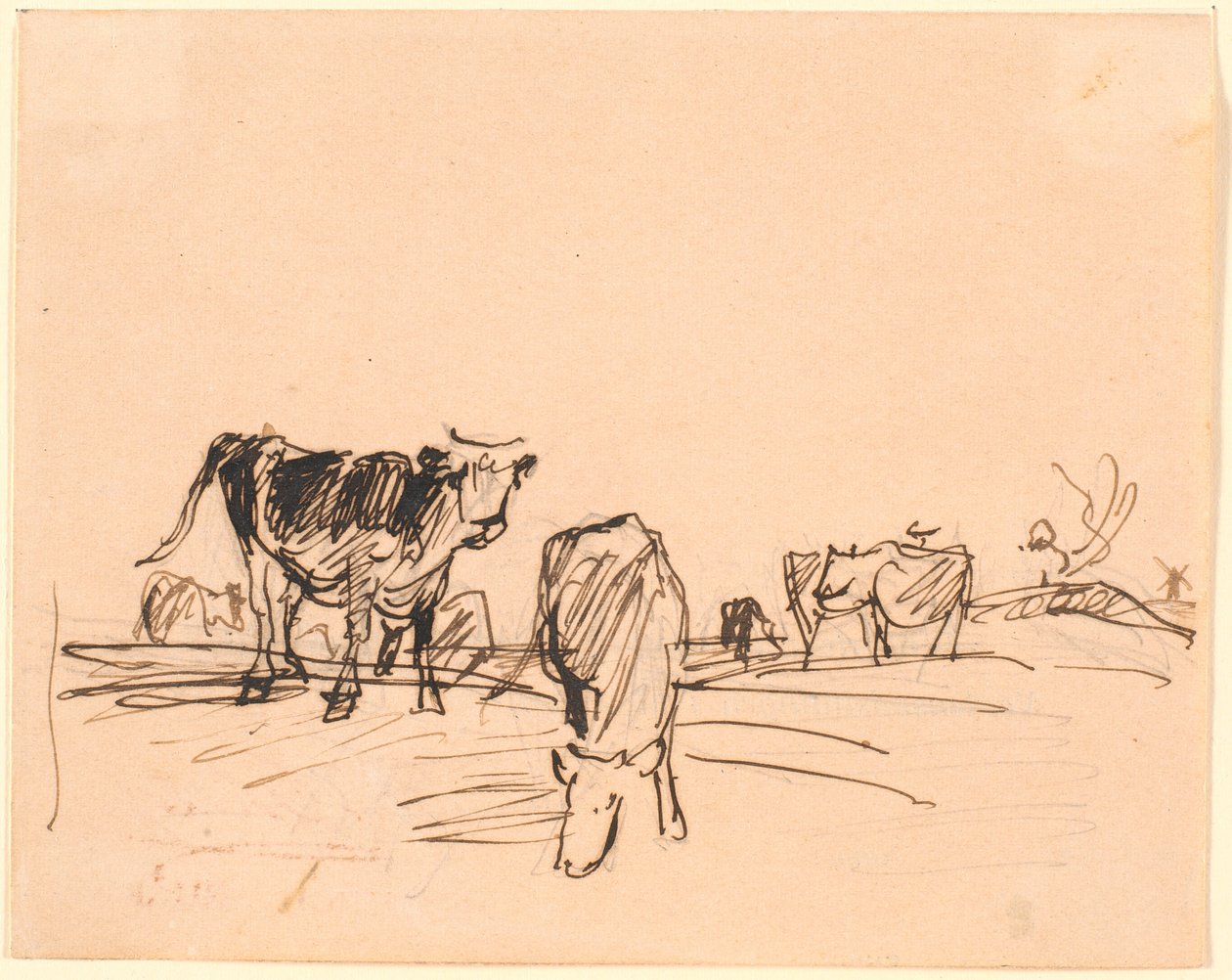 Koeien op een veld door Theodor Philipsen