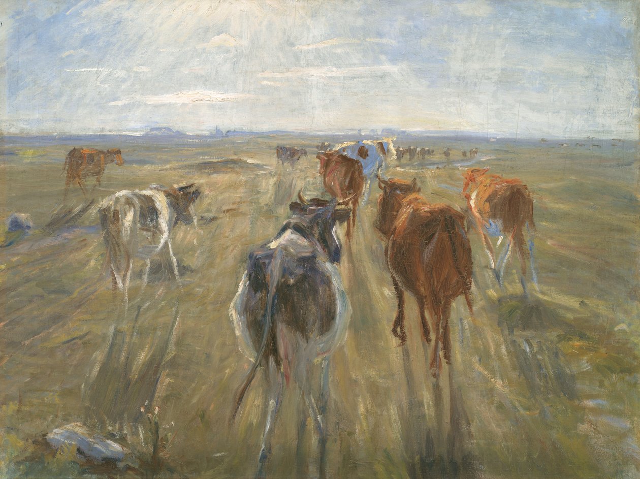 Lange Schaduwen. Vee op het Eiland Saltholm door Theodor Philipsen