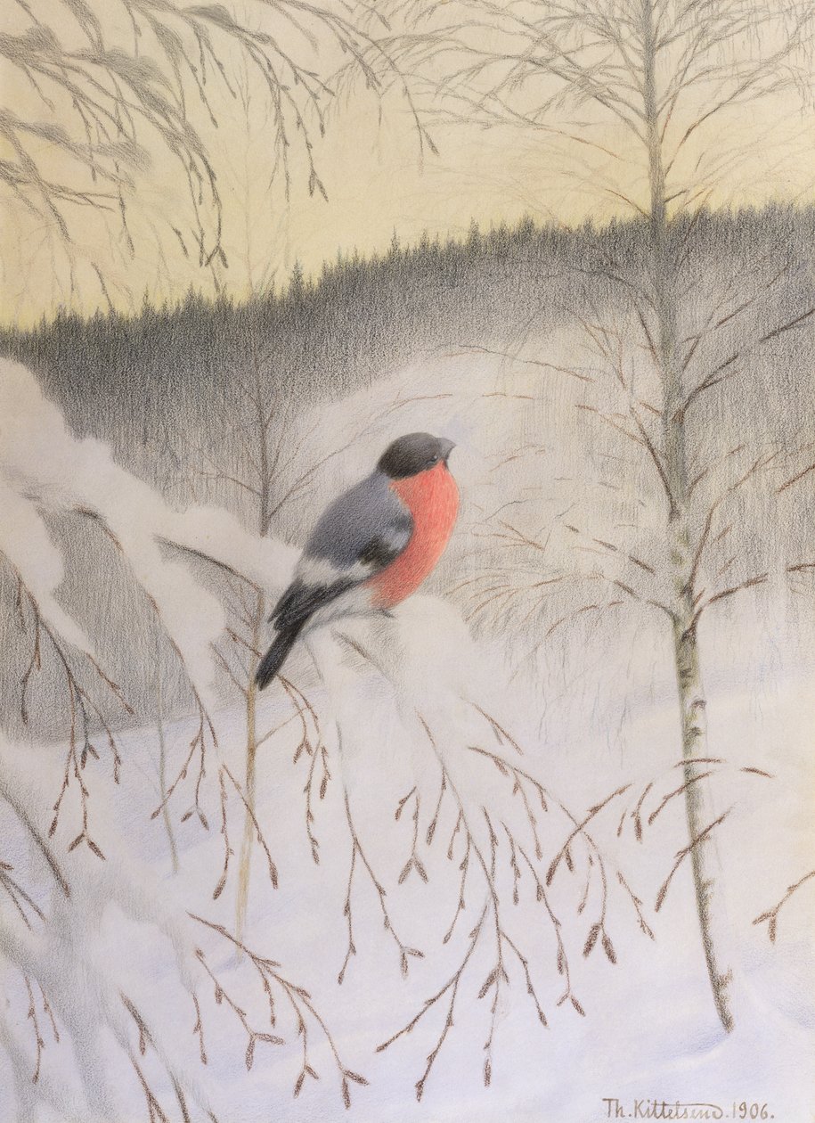 Goudvink op IJzige Tak door Theodor Kittelsen