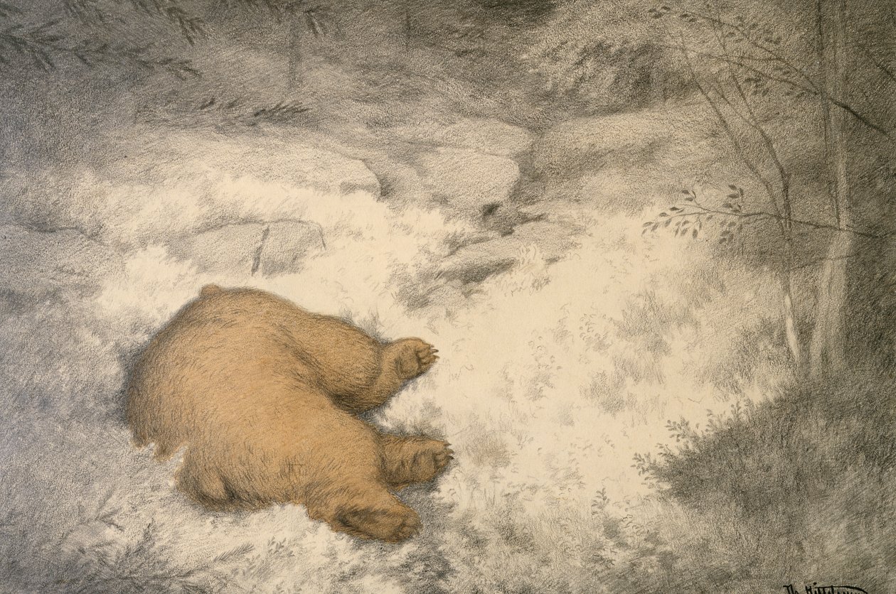 De beer slaapt in de bosbesheide door Theodor Severin Kittelsen