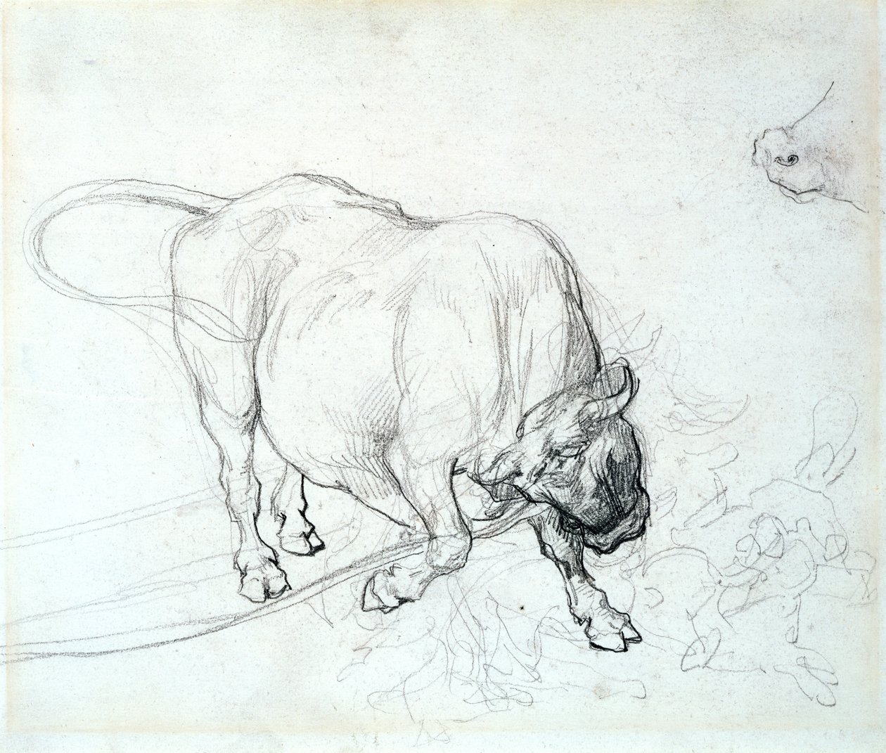 Studie van een stier door Theodore Gericault