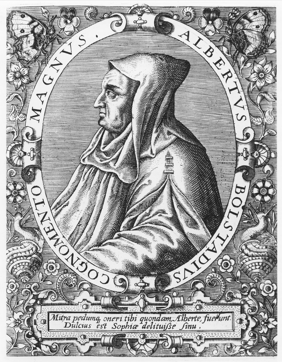 Albertus Magnus door Theodore de Bry