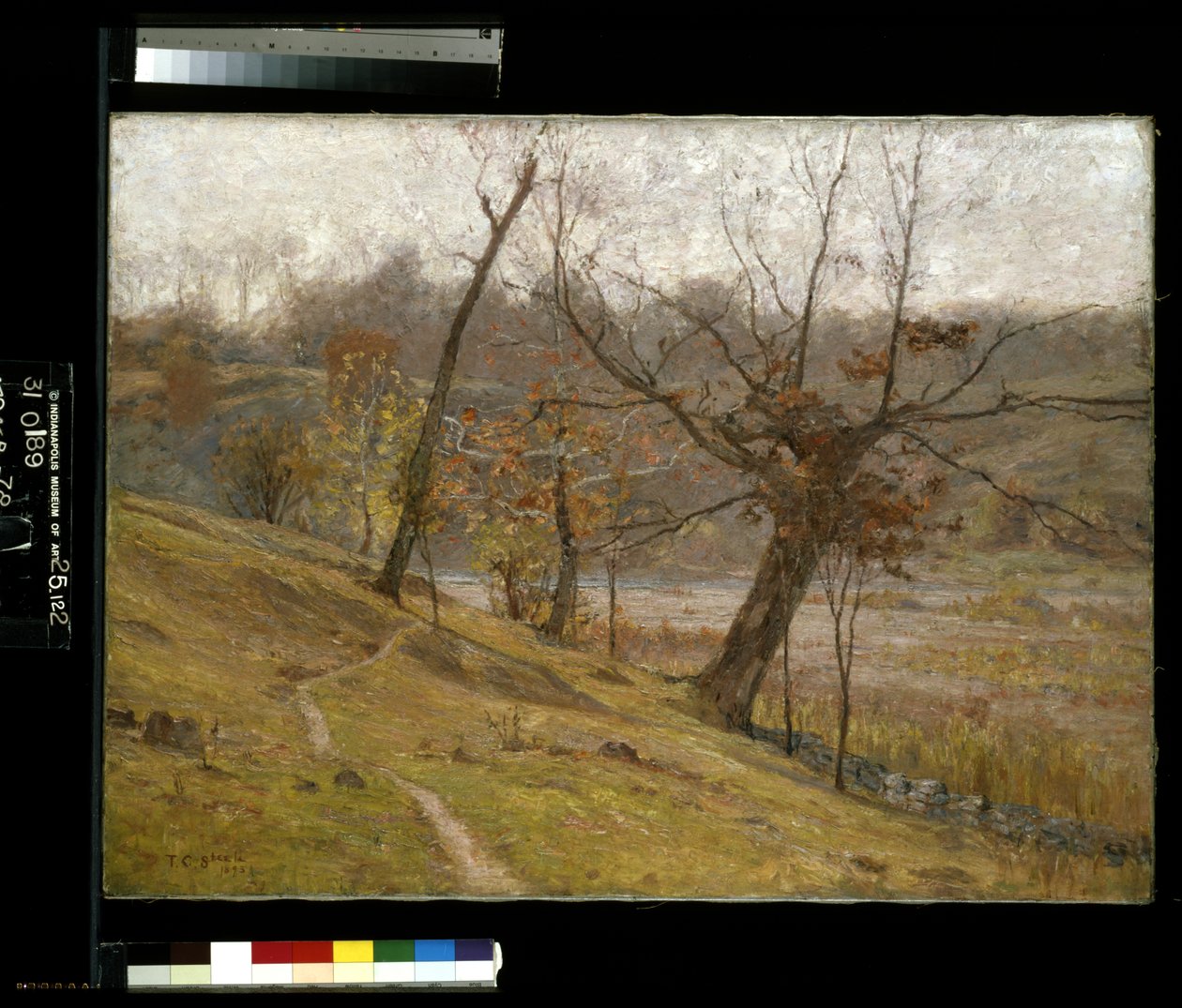 De Bloei Van De Druif door Theodore Clement Steele