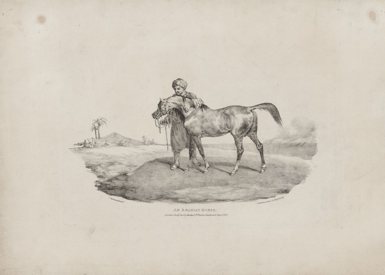 Een Arabisch paard door Theodore Gericault