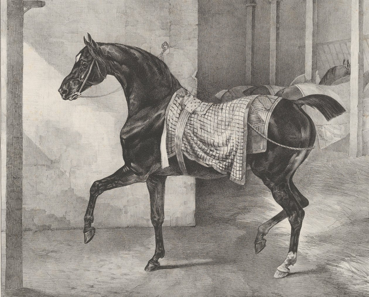 Zwart paard vastgebonden in een stal, 1822 door Theodore Gericault