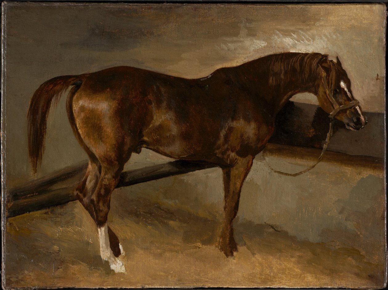 Derwisj in zijn stal door Theodore Gericault