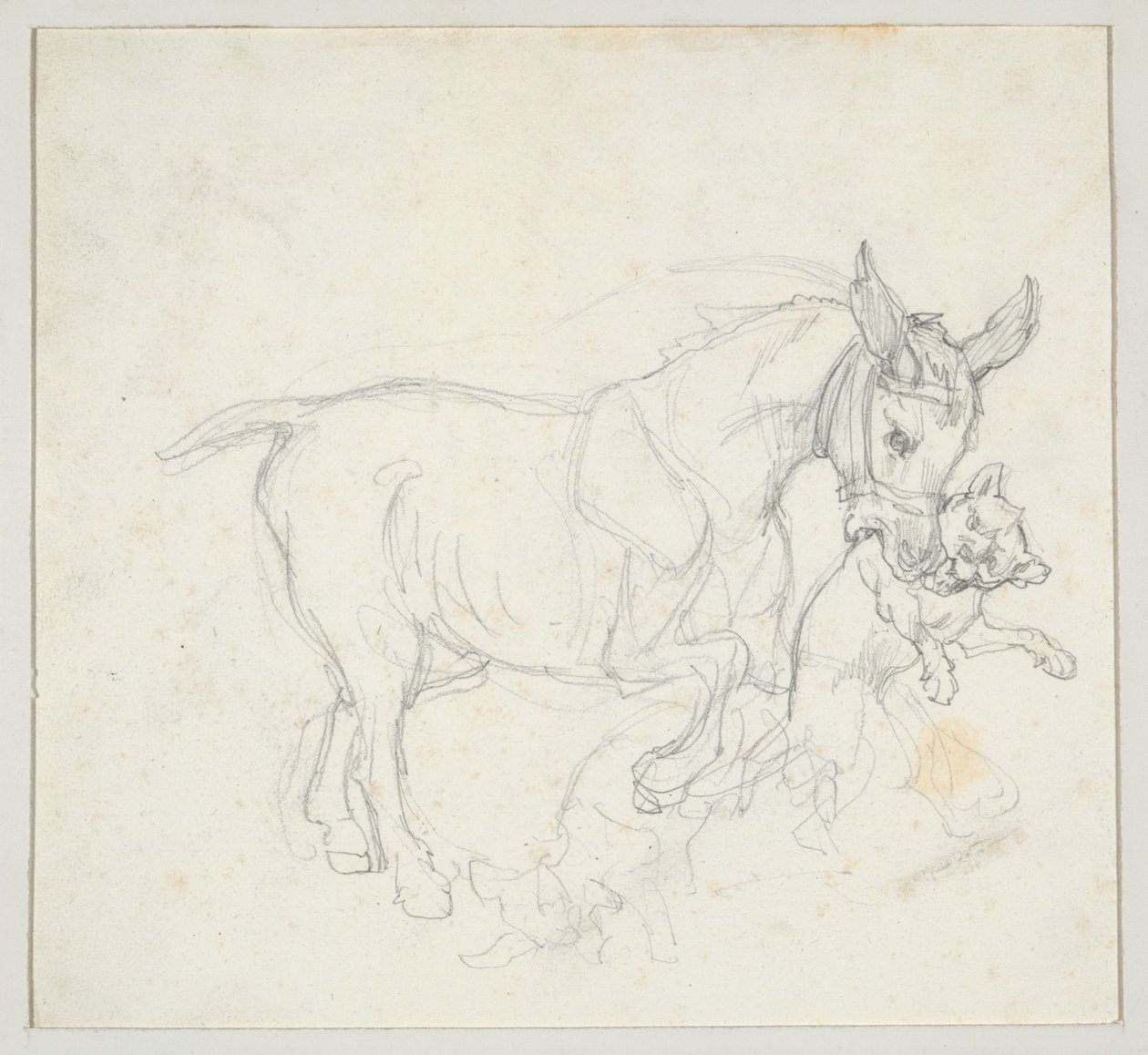 Ezel met hond in zijn bek (voorkant); Studie van een hert dat door honden wordt achtervolgd, kop van een hinde (achterkant) door Theodore Gericault