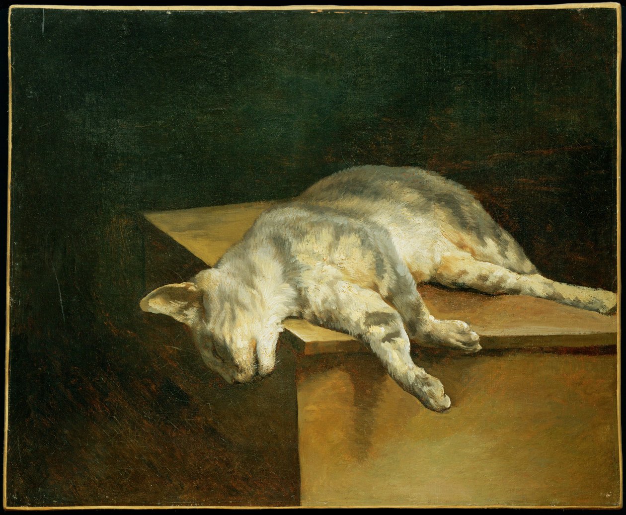 Le chat mort - De dode kat ... door Theodore Gericault