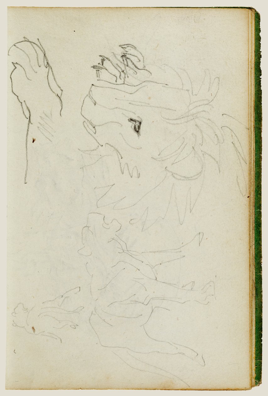 Onderzoek naar leeuwen door Theodore Gericault