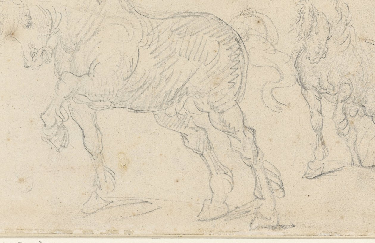 Paardenstudies door Theodore Gericault