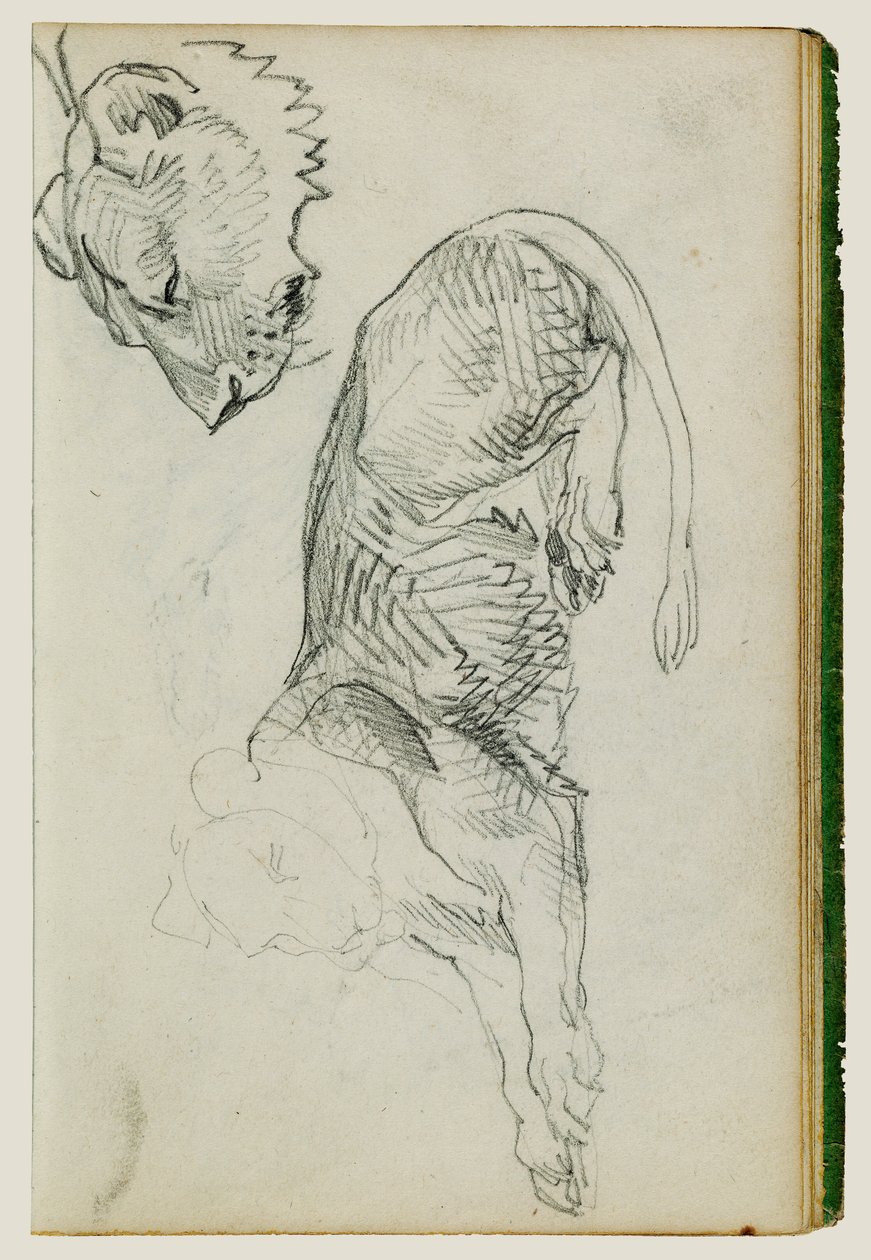 Zittende leeuw, hoofd van leeuwin door Theodore Gericault
