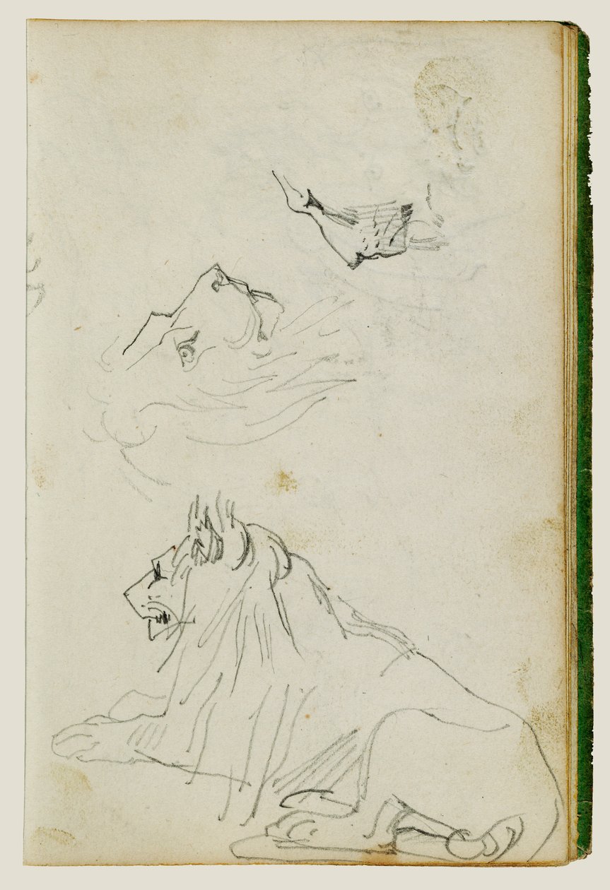 Zittende leeuw, twee studies van leeuwenkoppen door Theodore Gericault
