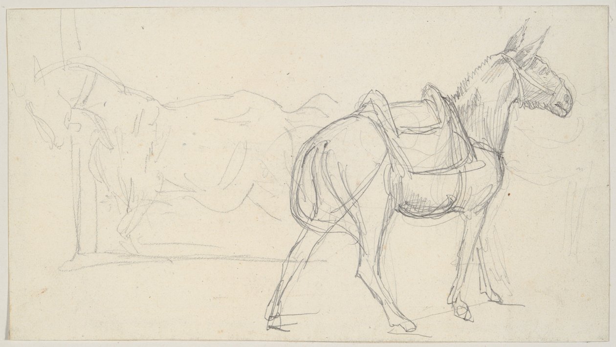 Schets van een paard door Theodore Gericault