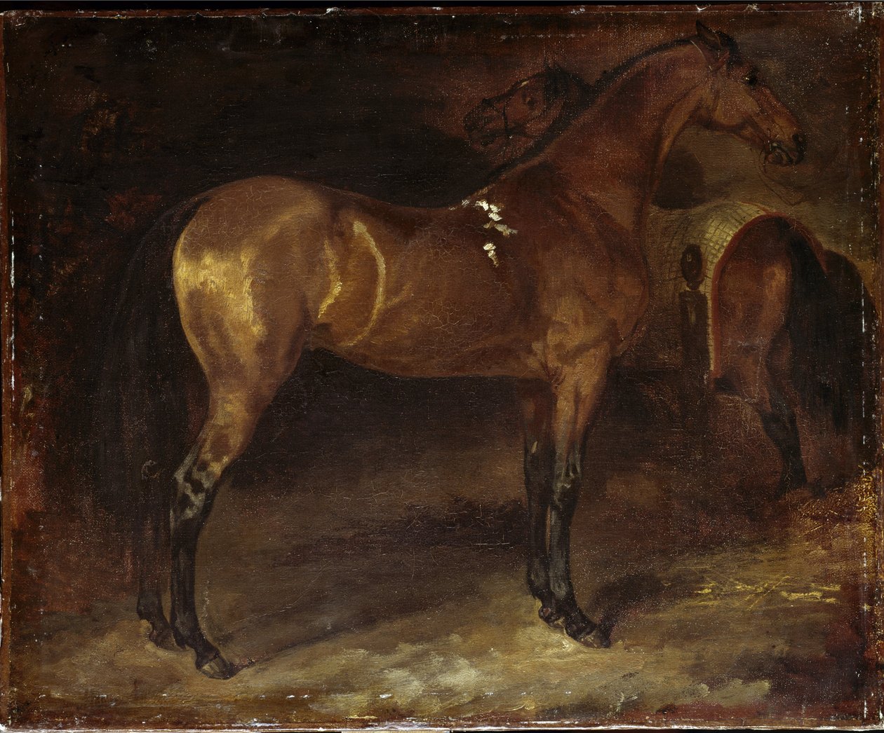 Spaanse Paard door Theodore Gericault