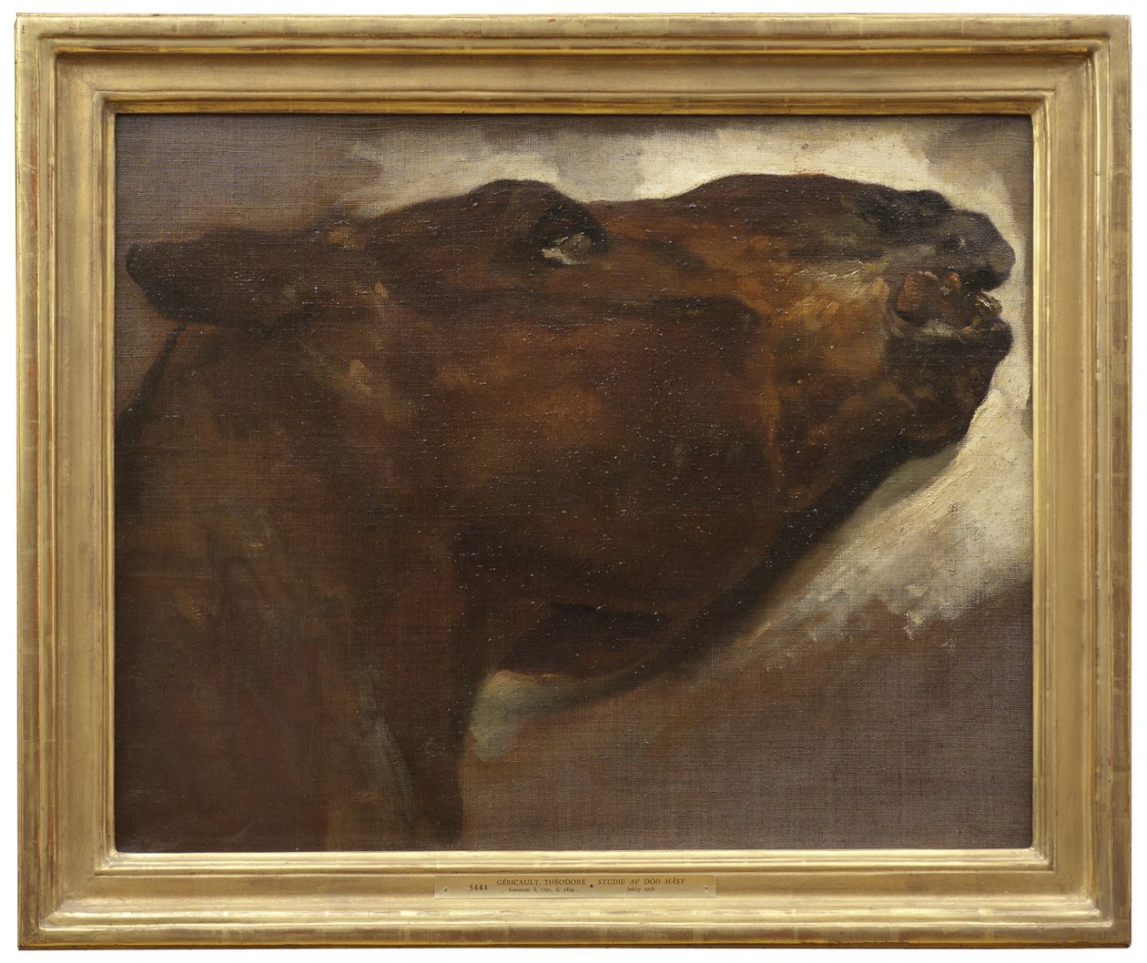 Studie naar een dood paard door Theodore Gericault
