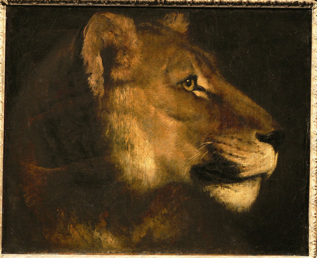 Tete de lionne. Hoofd van een leeuwin ... door Theodore Gericault