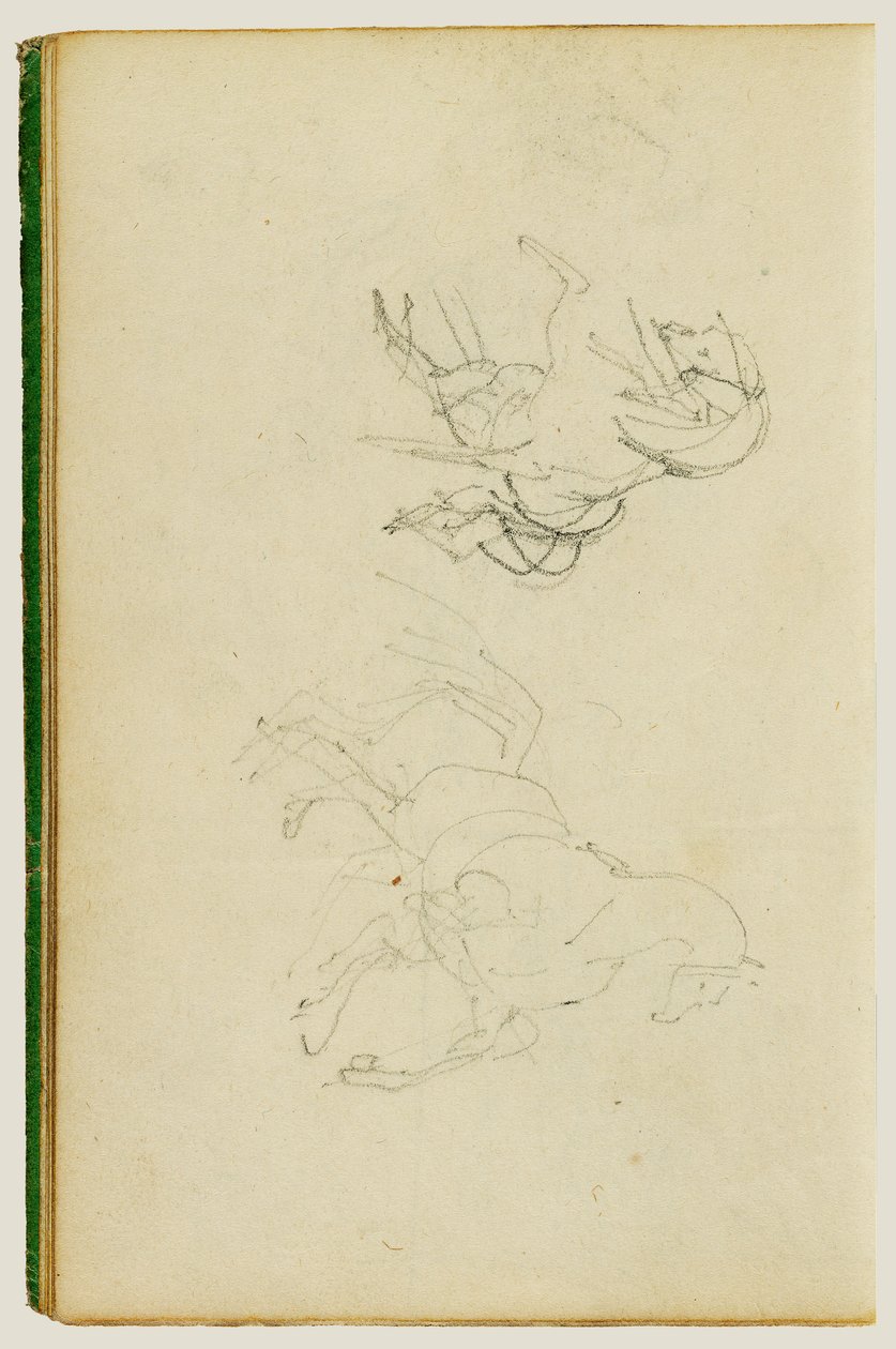 Twee studies naar een paard in de opfokfase door Theodore Gericault