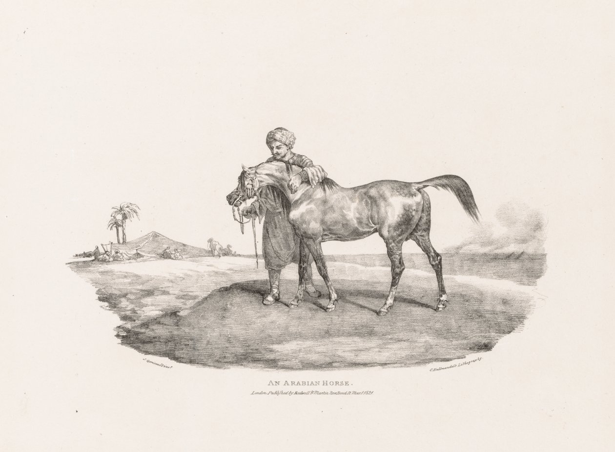 Diverse onderwerpen, naar het leven getekend en op steen:  Een Arabisch paard door Theodore Gericault