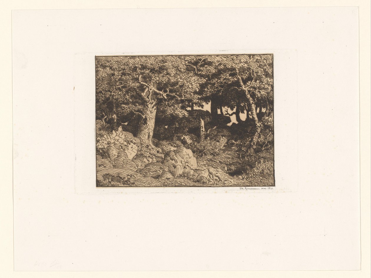 Eikenbomen op rotsen door Theodore Rousseau