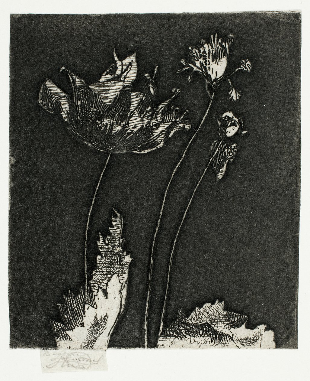 Laatste Klaprozen door Theodore Roussel