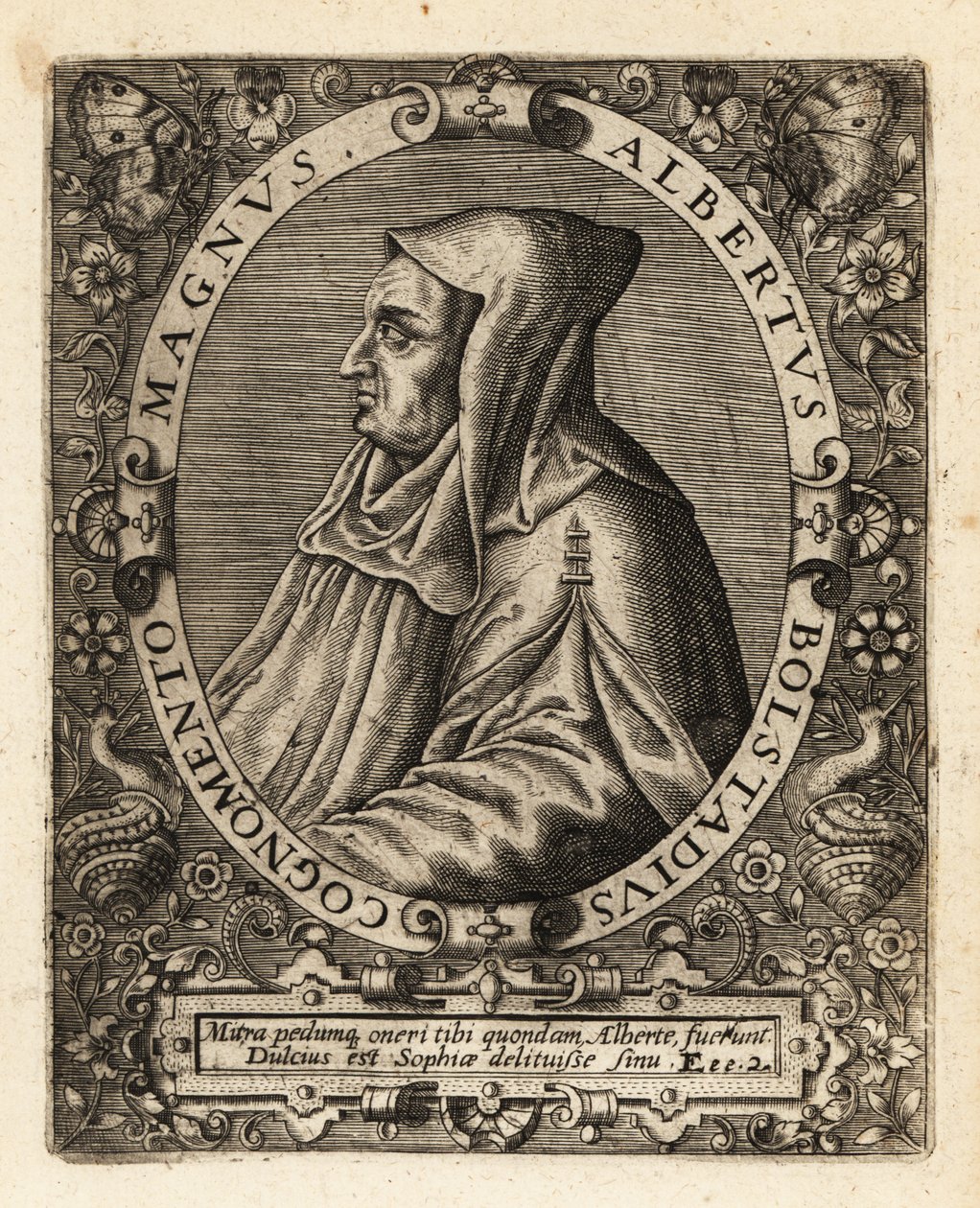 Albertus Magnus, Duitse katholieke bisschop. door Theodore de Bry