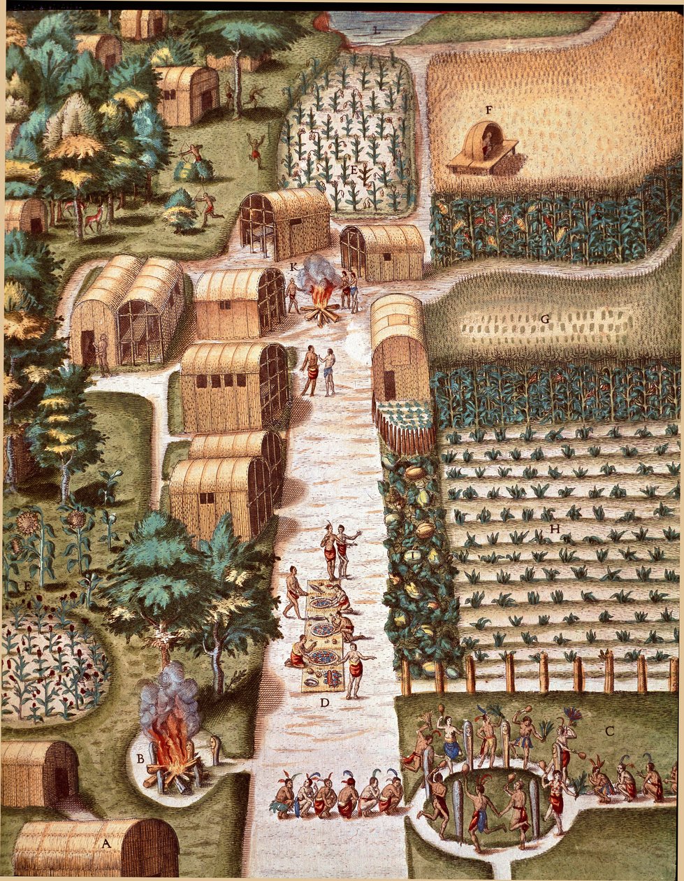 Geschiedenis van Amerika: "De Tuin van de Stad Secota in Virginia" Gravure uit "Admirante Narratio Americae" door Theodore de Bry (1528-1598) door Theodore de Bry