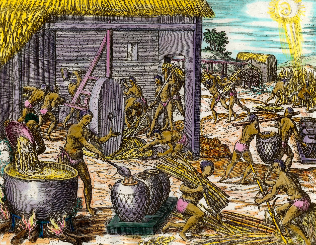 Geschiedenis van Amerika: het verzamelen van suikerriet en het maken van suiker door Theodore de Bry