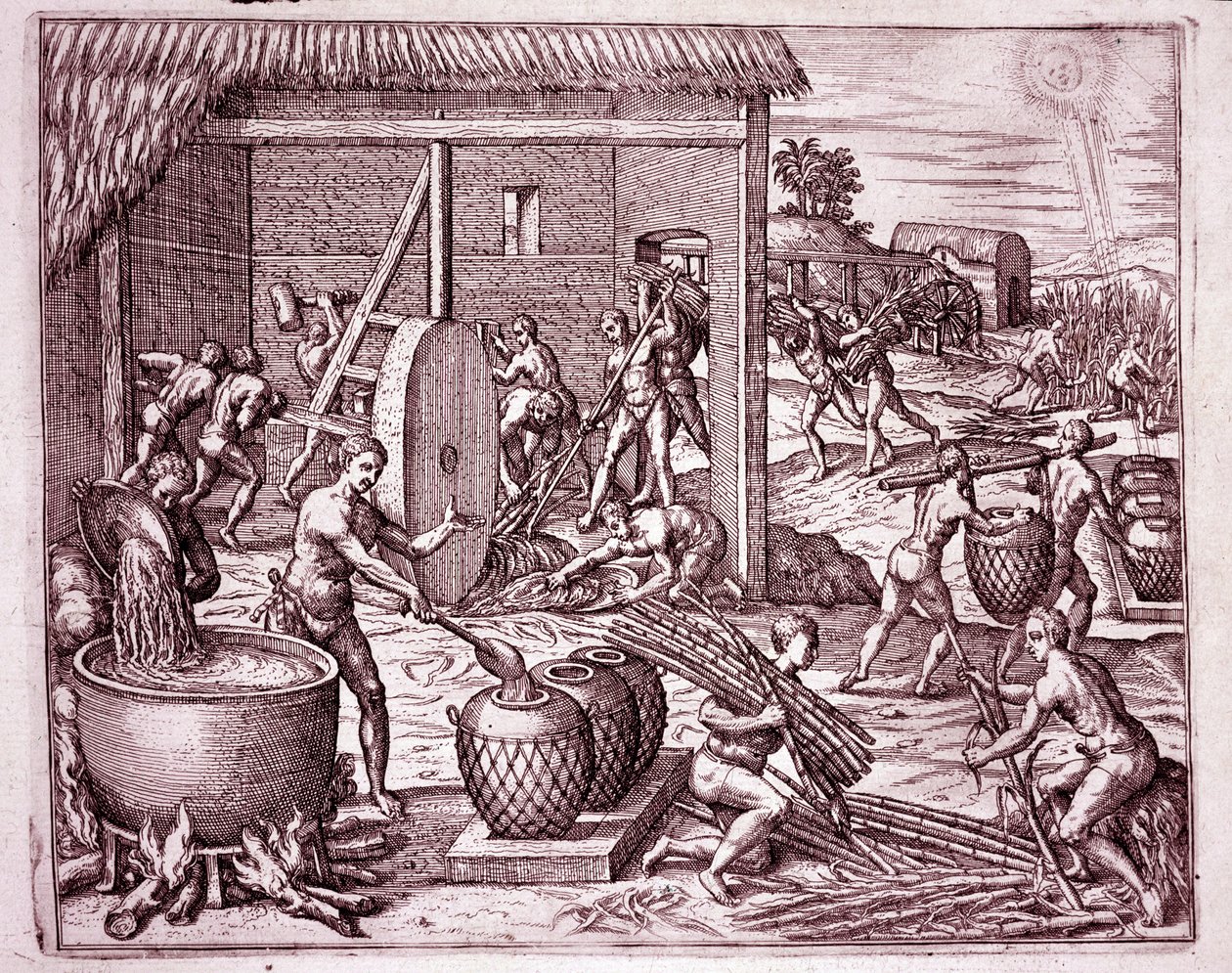 Geschiedenis van Amerika: suikerriet oogsten en suikerproductie door Indiase slaven die werken voor de Spaanse conquistadores (Gravure) door Theodore de Bry