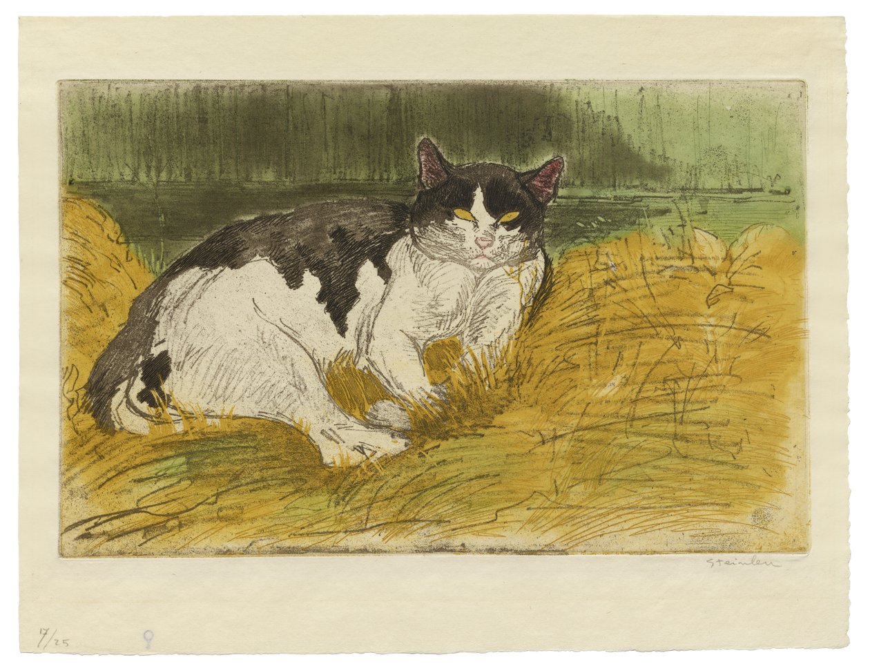 Oude zwart-witte kat in het gras door Théophile Alexandre Steinlen