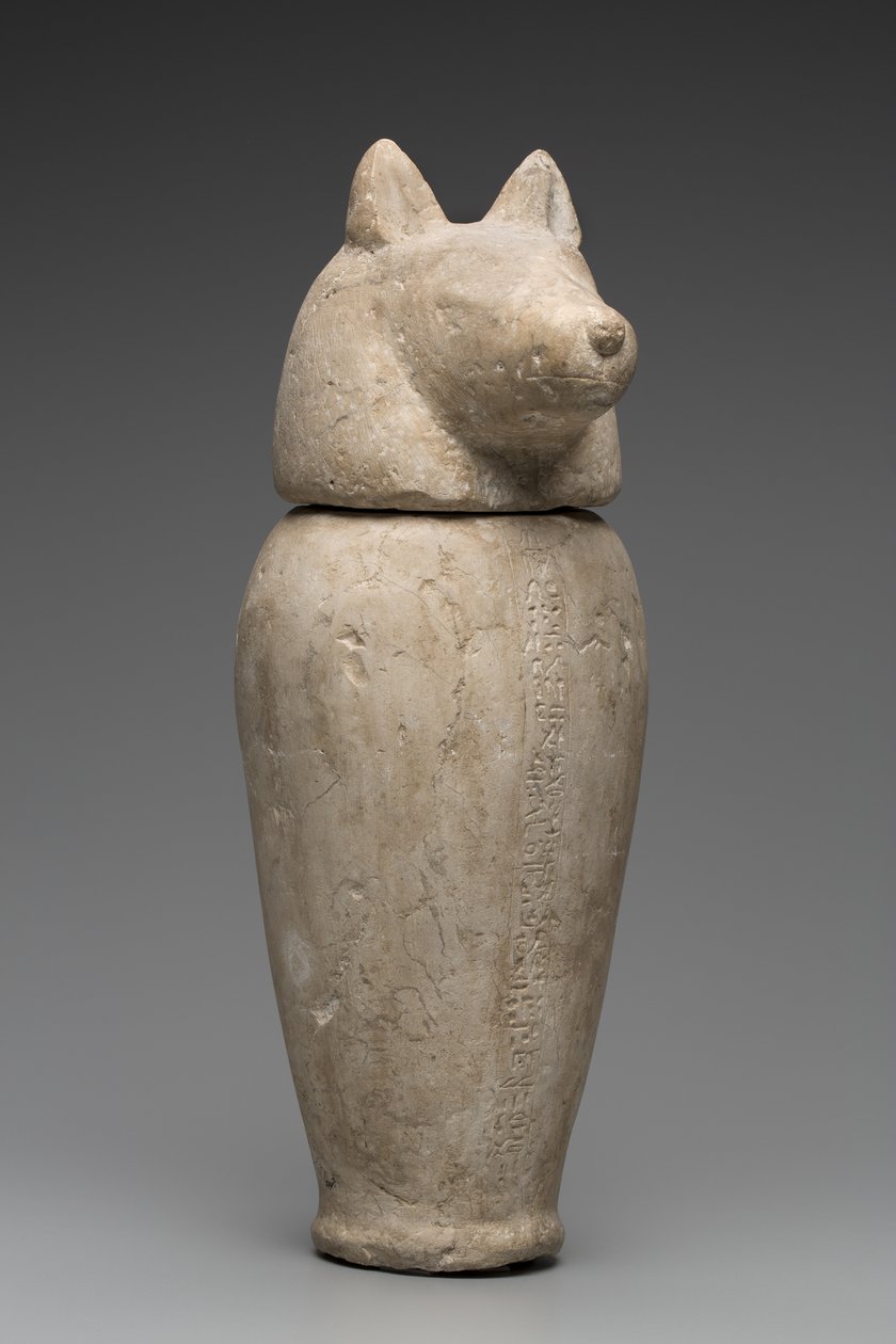 Canopische kruik met jakhalzenkop (kalksteen) door Third Intermediate Period Egyptian