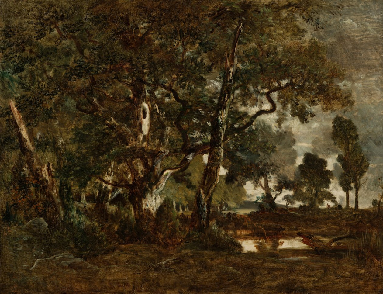 Bos van Fontainebleau, Cluster van Hoge Bomen met Uitzicht op de Vlakte van Clair-Bois aan de Rand van Barbizon door Pierre Etienne Theodore Rousseau