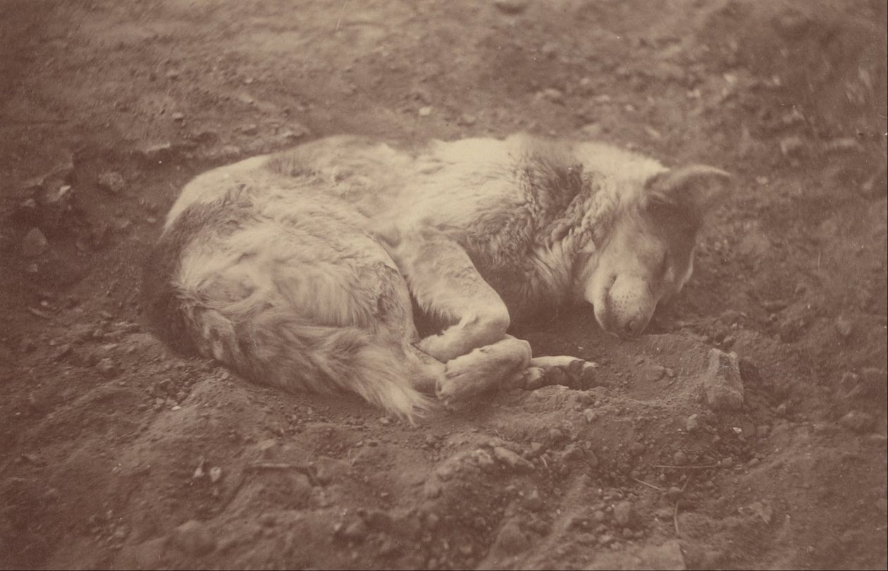 (Slapende Hond) door Théodule Devéria