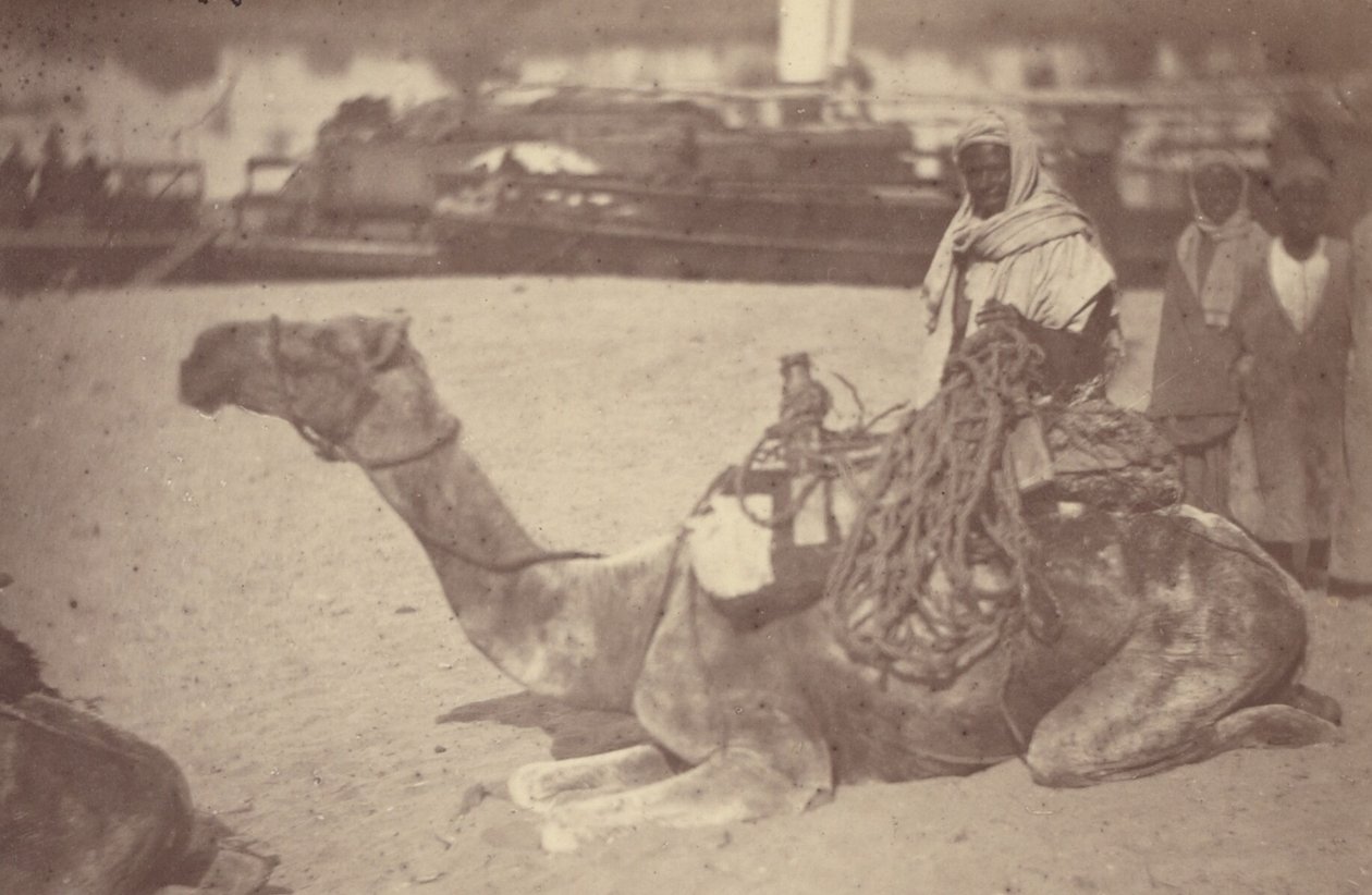 [Een Noord-Afrikaanse man op een kameel aan de oever van de Nijl]. door Théodule Devéria