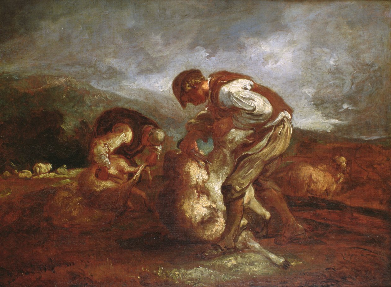 Schapenscheren door Thomas Barker of Bath