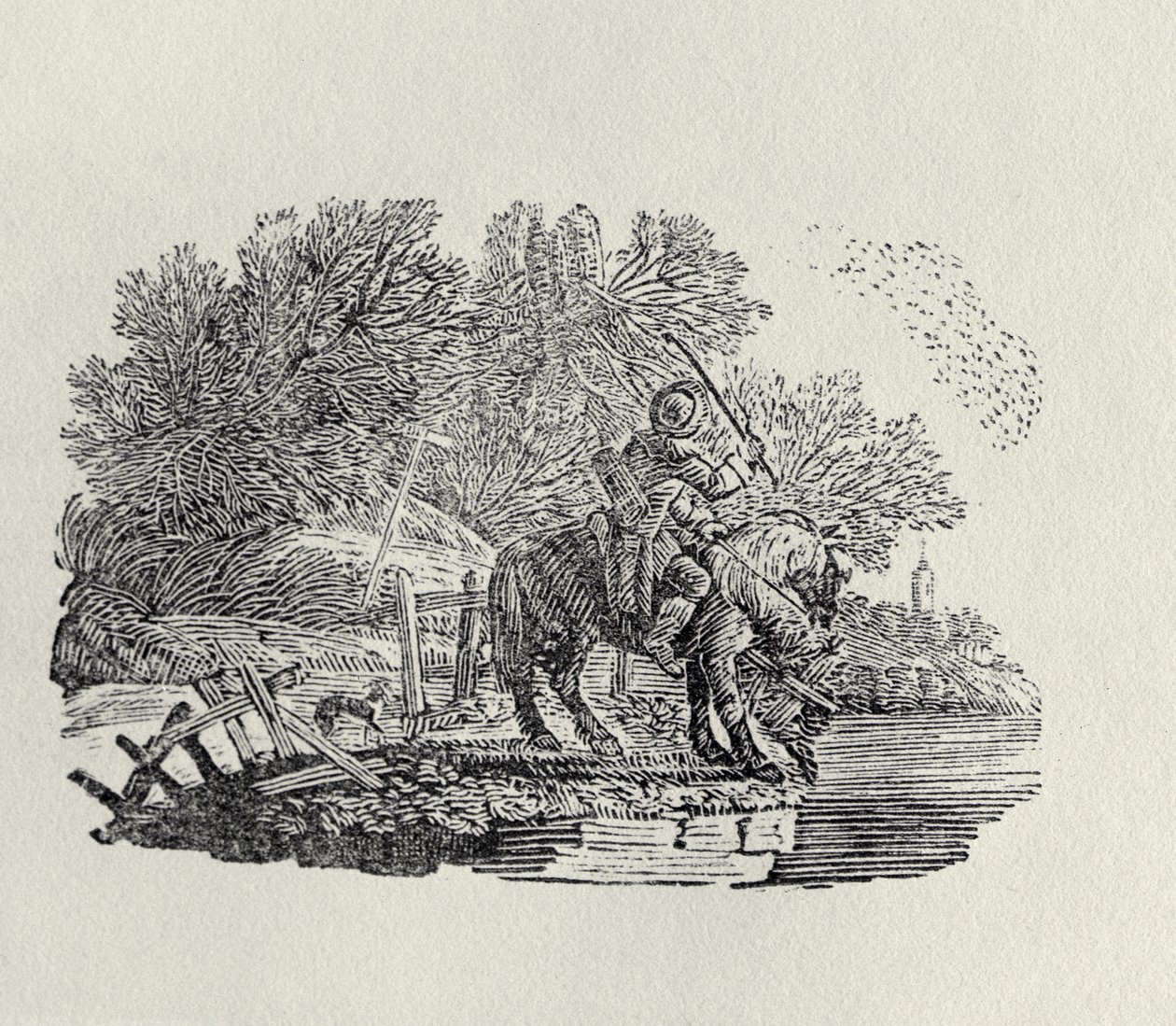 Een Ruiter Afgeleid door een Zwerm Vogels door Thomas Bewick