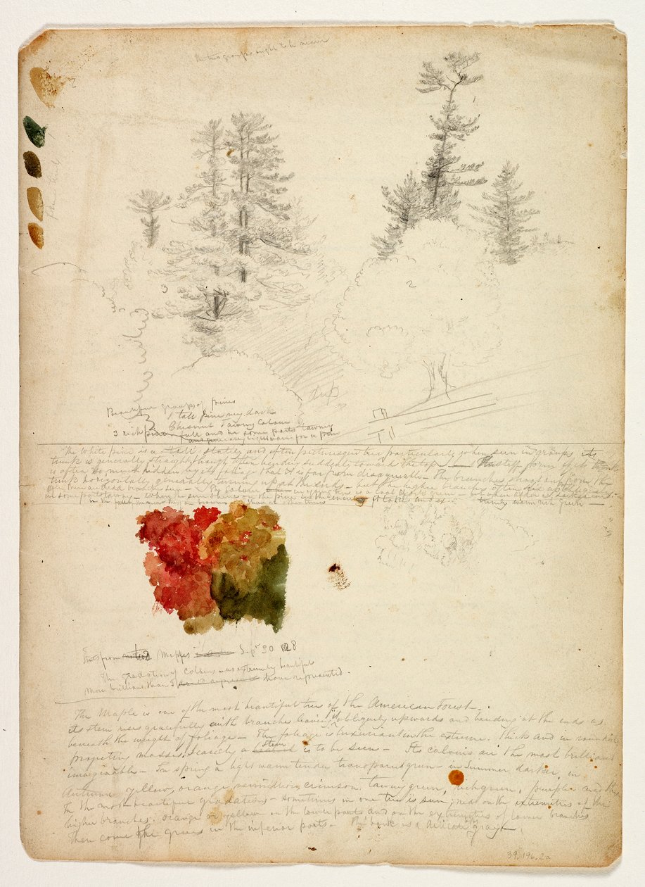 Mooie Groepen Dennen; Kleuren van Esdoorns, New Hampshire, 30 september 1828 door Thomas Cole
