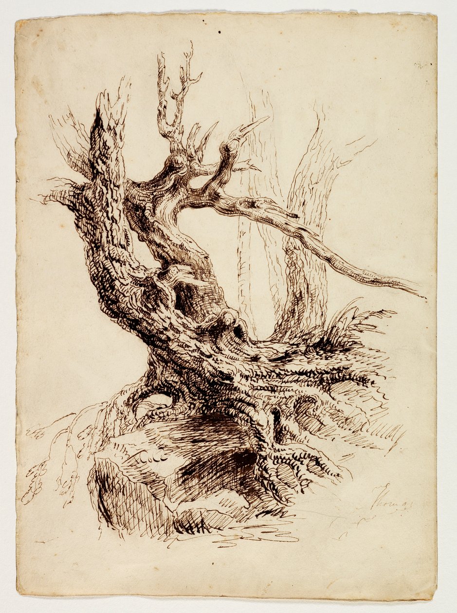 Knoestige boomstam, c.1826 door Thomas Cole