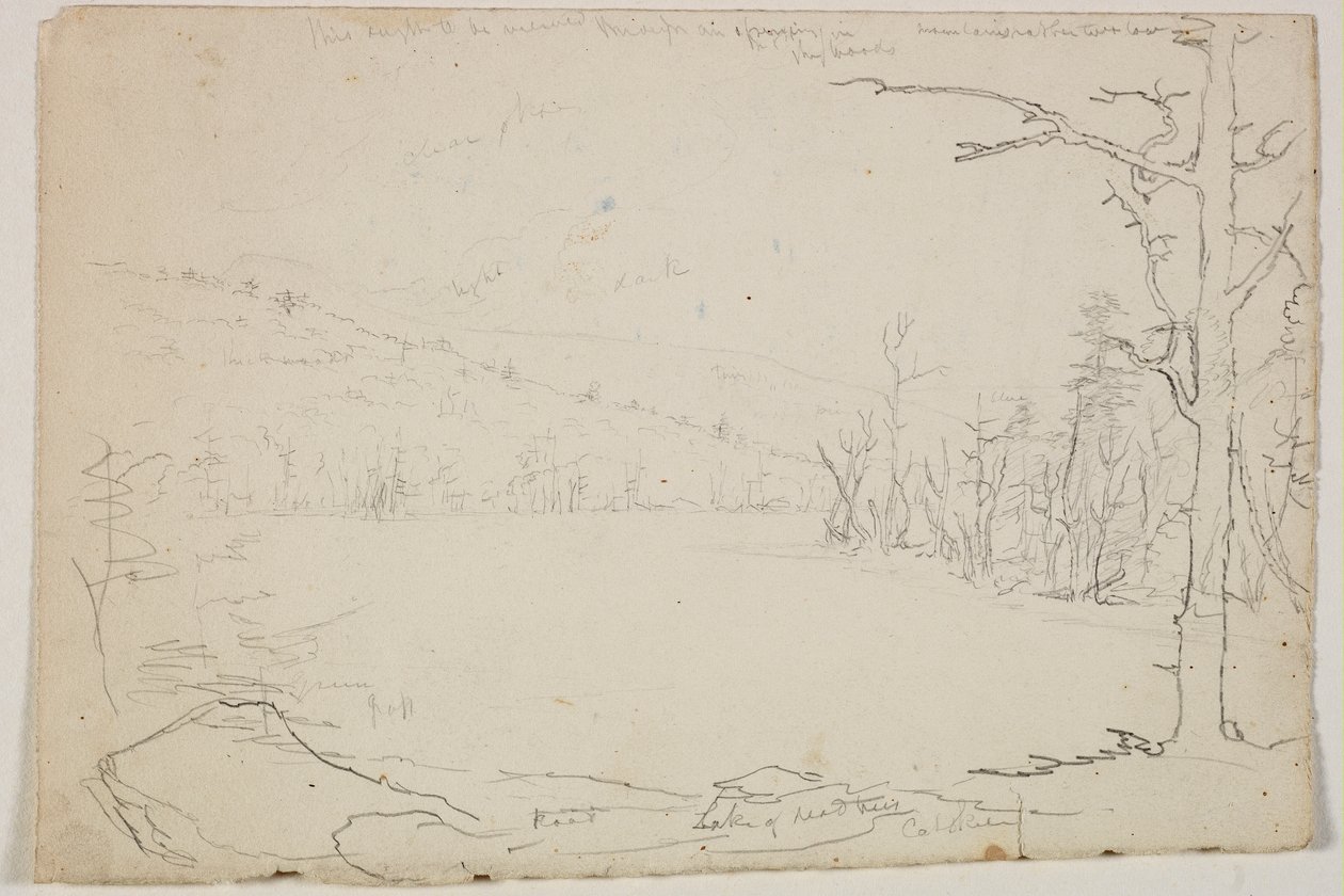 Meer van dode bomen, Catskill, 1825 door Thomas Cole